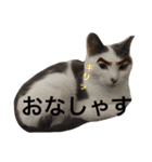 ルドとキョロとゆかいな仲間たち（個別スタンプ：2）