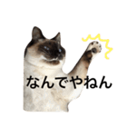 ルドとキョロとゆかいな仲間たち（個別スタンプ：4）