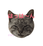ルドとキョロとゆかいな仲間たち（個別スタンプ：8）