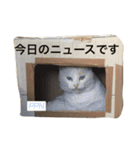 ルドとキョロとゆかいな仲間たち（個別スタンプ：14）