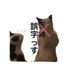 ルドとキョロとゆかいな仲間たち（個別スタンプ：15）