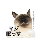 ルドとキョロとゆかいな仲間たち（個別スタンプ：22）