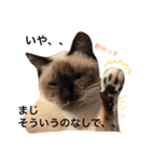 ルドとキョロとゆかいな仲間たち（個別スタンプ：23）