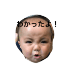あやかんたに（個別スタンプ：6）