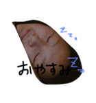 きかちゃん（個別スタンプ：5）
