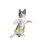 cutecat pon2（個別スタンプ：8）
