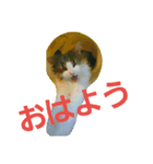 Jasmin cat Part2（個別スタンプ：7）