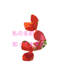 kai dog and flower 2（個別スタンプ：1）
