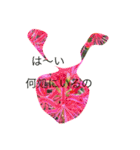 kai dog and flower 2（個別スタンプ：3）