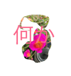 kai dog and flower 2（個別スタンプ：4）
