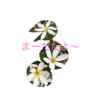 kai dog and flower 2（個別スタンプ：6）