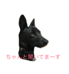 kai dog and flower 2（個別スタンプ：8）