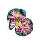 kai dog and flower 2（個別スタンプ：24）