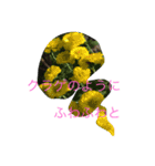 kai dog and flower 2（個別スタンプ：25）