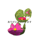 kai dog and flower 2（個別スタンプ：29）