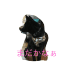 kai dog and flower 2（個別スタンプ：32）