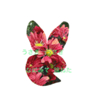 kai dog and flower 2（個別スタンプ：34）