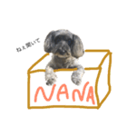 可愛いミックス犬 ななころスタンプ（個別スタンプ：16）