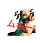 4本足のお友だち さぶろう（個別スタンプ：5）