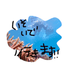 私の周りの愉快な仲間たち（個別スタンプ：37）