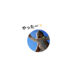 真澄スタンプ（個別スタンプ：15）
