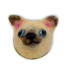 猫になった太陽系惑星たち（個別スタンプ：13）