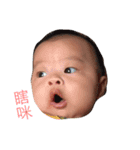 chubby  baby（個別スタンプ：5）