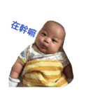 chubby  baby（個別スタンプ：10）