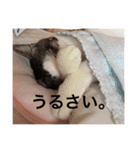 みお❤ゆず1（個別スタンプ：32）