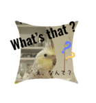 オカメインコ＋@(両生類・爬虫類)（個別スタンプ：2）