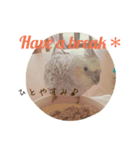 オカメインコ＋@(両生類・爬虫類)（個別スタンプ：4）