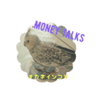 オカメインコ＋@(両生類・爬虫類)（個別スタンプ：5）
