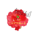 オカメインコ＋@(両生類・爬虫類)（個別スタンプ：6）