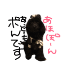 ぽんさん3（個別スタンプ：9）