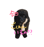 ぽんさん3（個別スタンプ：10）