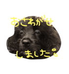 ぽんさん3（個別スタンプ：26）