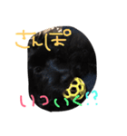 ぽんさん3（個別スタンプ：29）