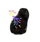 ぽんさん3（個別スタンプ：38）