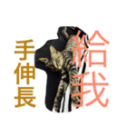 Cat and Dog for love（個別スタンプ：4）