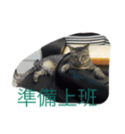 Cat and Dog for love（個別スタンプ：5）
