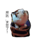 Cat and Dog for love（個別スタンプ：14）