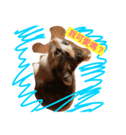 the three colors cats and little cats（個別スタンプ：1）