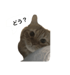 うちの子ご（個別スタンプ：2）