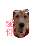 go.（個別スタンプ：4）