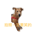 go.（個別スタンプ：5）