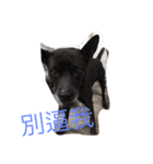 go.（個別スタンプ：8）