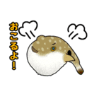 魚たんぷ（個別スタンプ：2）