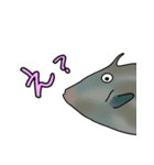 魚たんぷ（個別スタンプ：3）