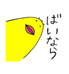 ゆるピヨさんと死語（個別スタンプ：19）