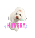 ぷりと愉快な仲間たち（個別スタンプ：31）